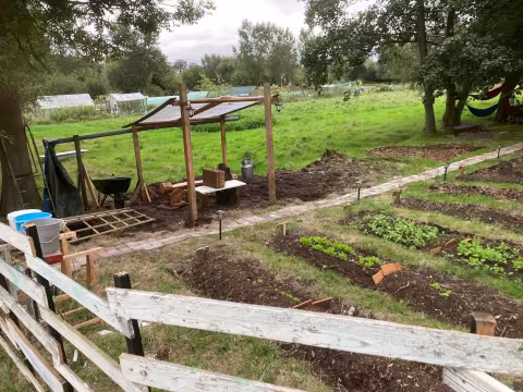 Het veld